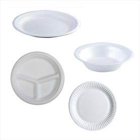 DISPOSABLE PLATES AND BOWLS