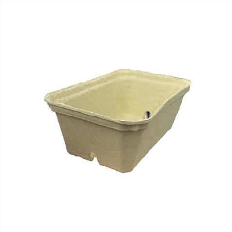250G BIODEGRADABLE PULP FIBRE FRUIT PUNNET
