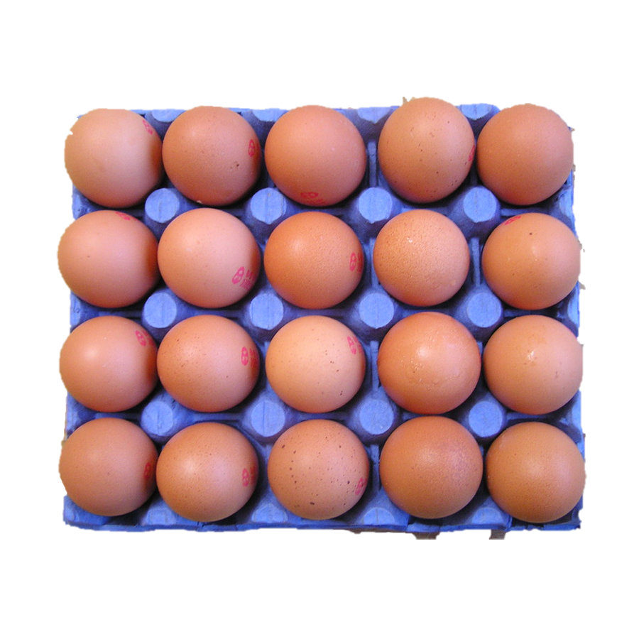 BOX EXTRA LARGE EGGS