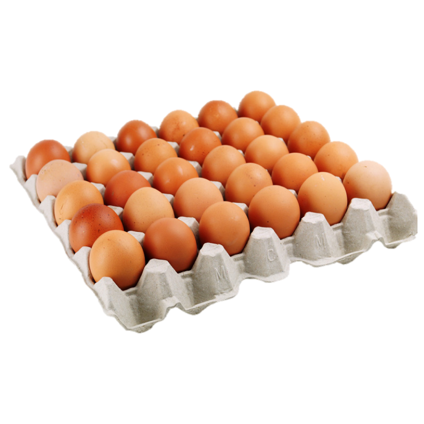 BOX LARGE EGGS