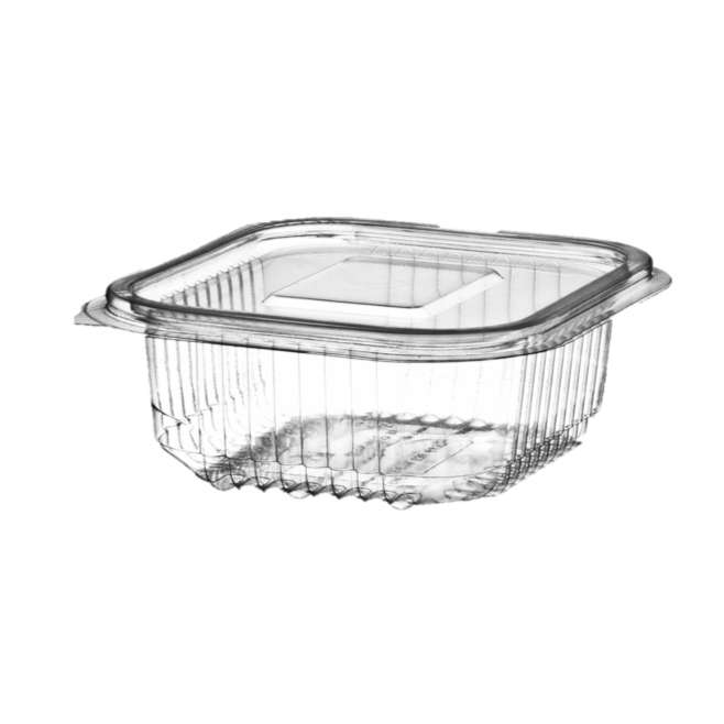250cc VALUE PLASTIC CONTAINER WITH HINGED LID