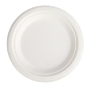 10" COMPOSTABLE BAGASSE PLATE